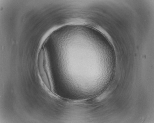 X0000083601488200702231734