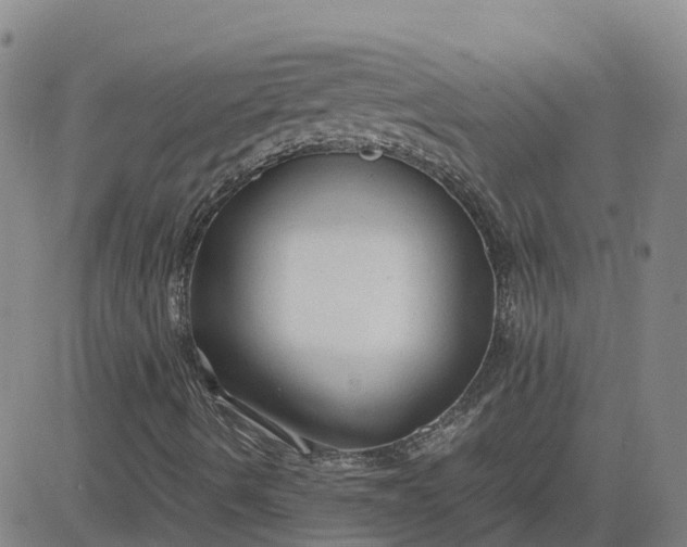 X0000083601490200702231733