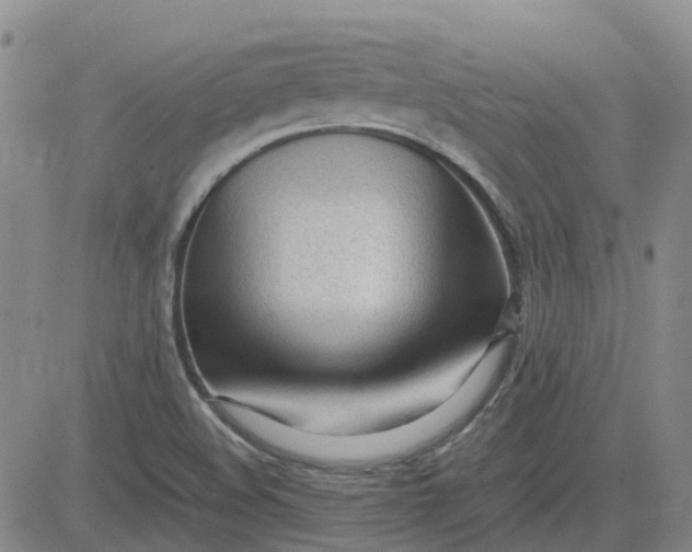 X0000083601508200702231733