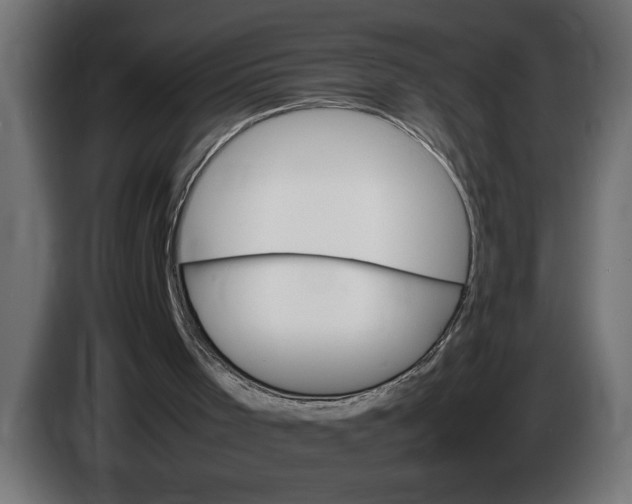 X0000083600001200703021926