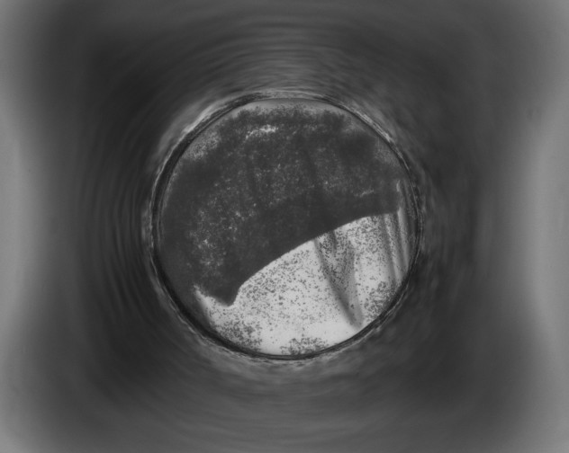 X0000083600002200703021926