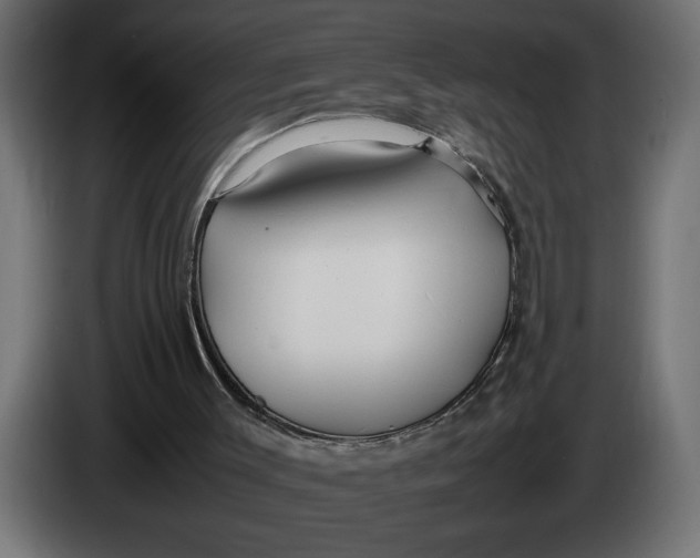 X0000083600003200703021926