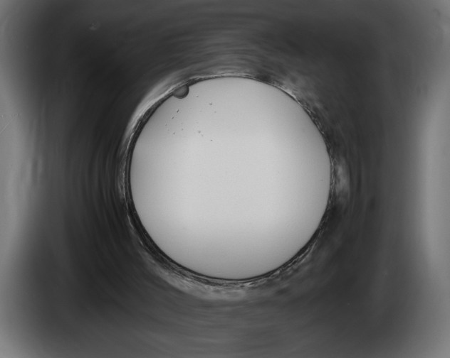 X0000083600004200703021926