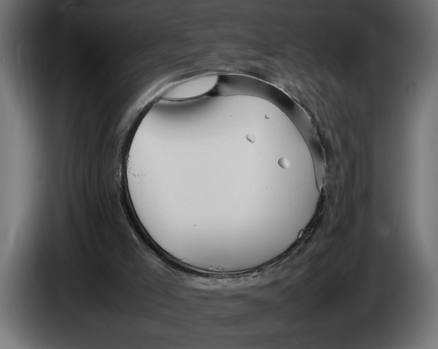 X0000083600005200703021926