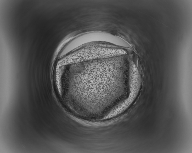 X0000083600006200703021926