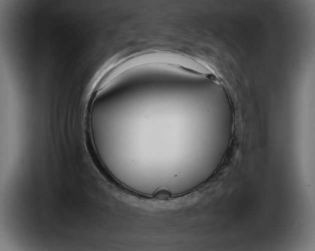 X0000083600007200703021926