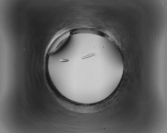 X0000083600008200703021926