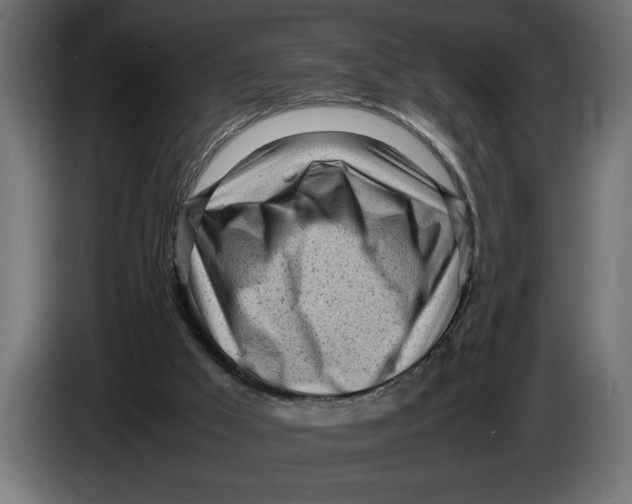 X0000083600009200703021926