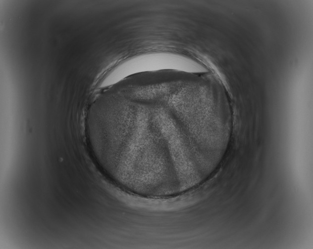 X0000083600010200703021926