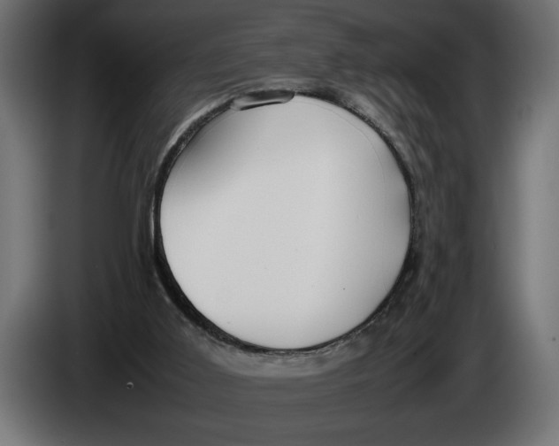 X0000083600011200703021926