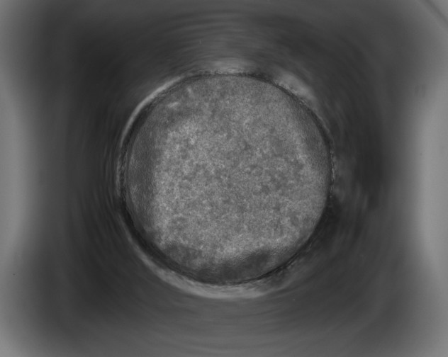 X0000083600012200703021926