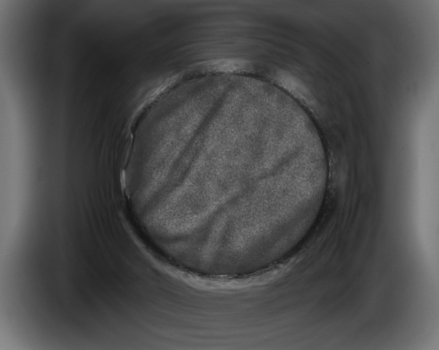 X0000083600014200703021926