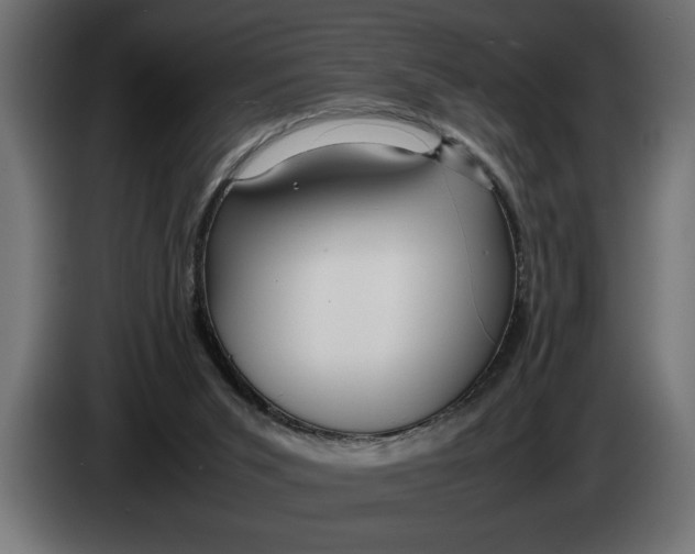 X0000083600015200703021926