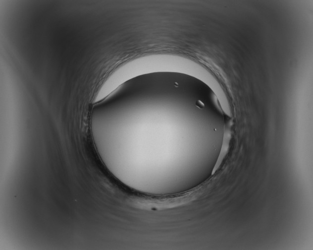 X0000083600017200703021926