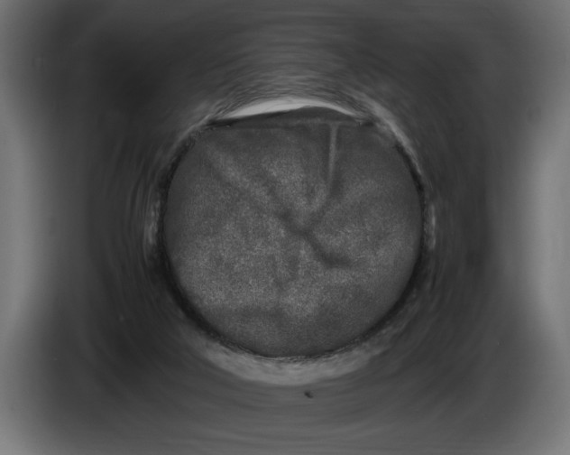 X0000083600018200703021926