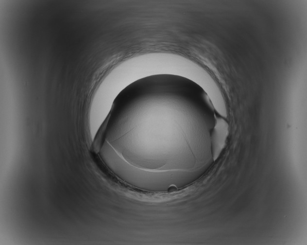 X0000083600019200703021926