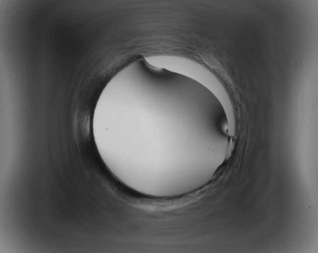 X0000083600021200703021926