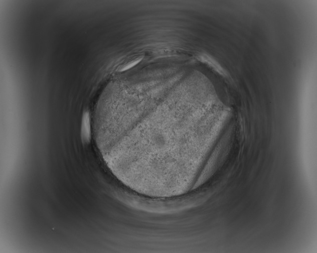 X0000083600022200703021926