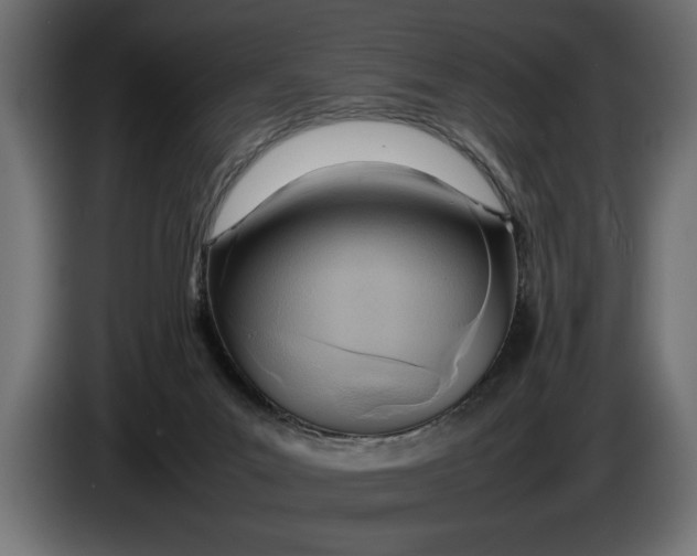 X0000083600023200703021926