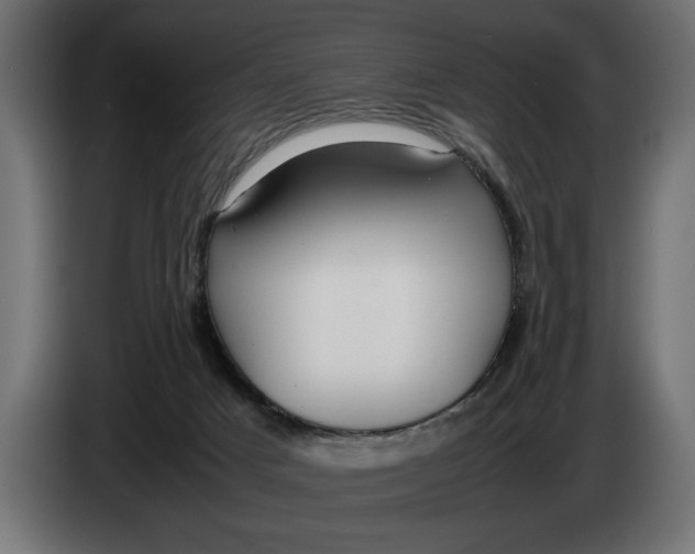 X0000083600025200703021926