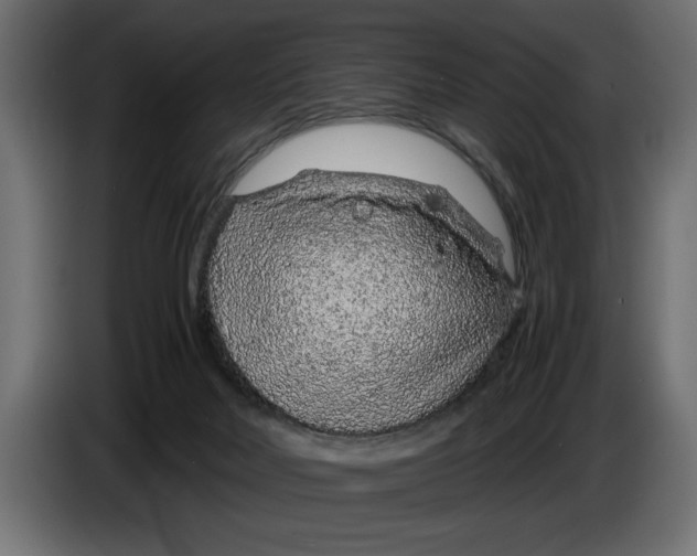 X0000083600026200703021926