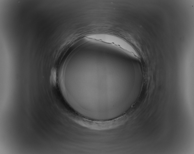 X0000083600027200703021926