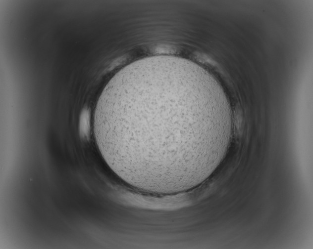 X0000083600028200703021926