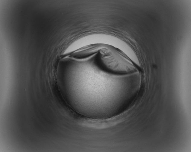 X0000083600029200703021926