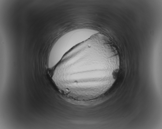 X0000083600030200703021926