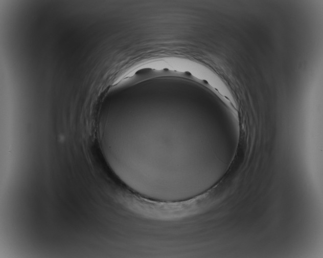 X0000083600031200703021926