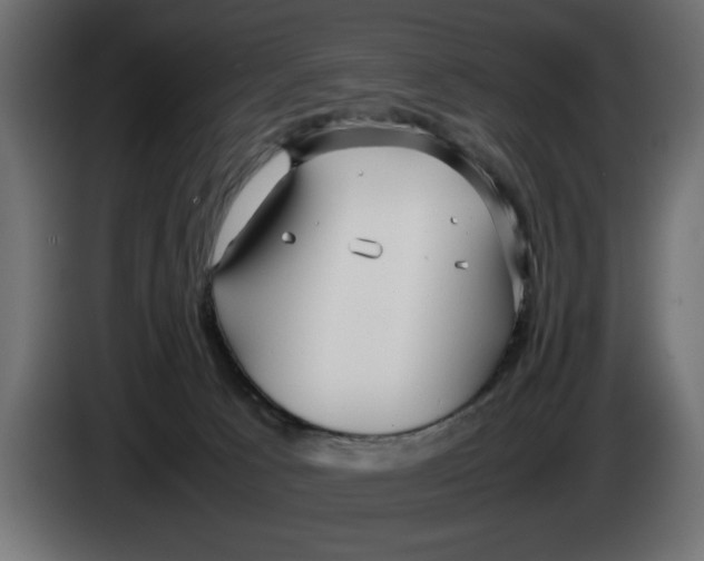 X0000083600033200703021926