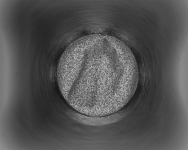 X0000083600034200703021925