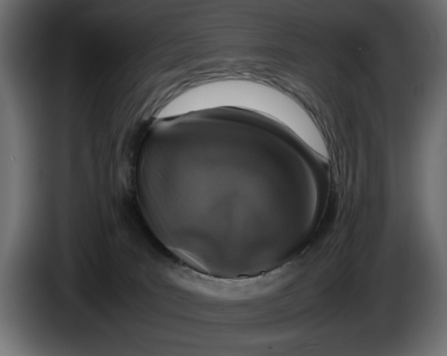 X0000083600035200703021925