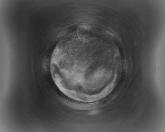 X0000083600036200703021925