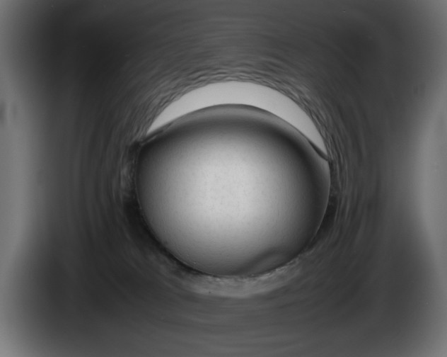 X0000083600037200703021925