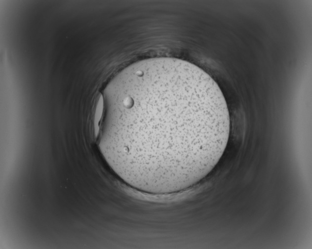 X0000083600038200703021925