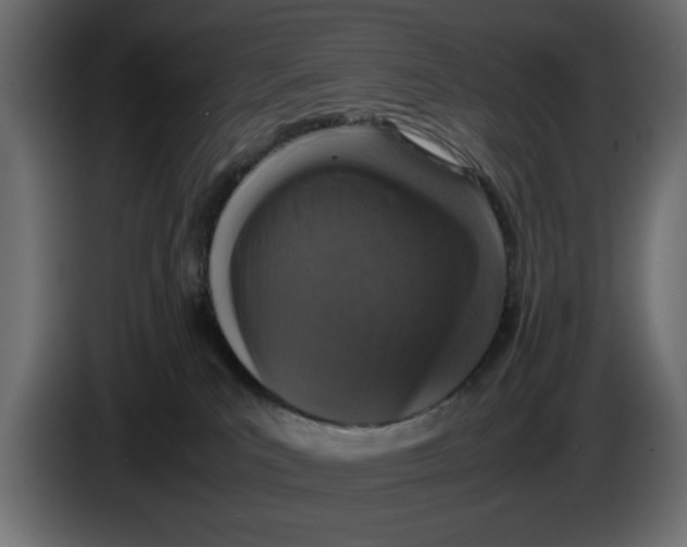 X0000083600039200703021925