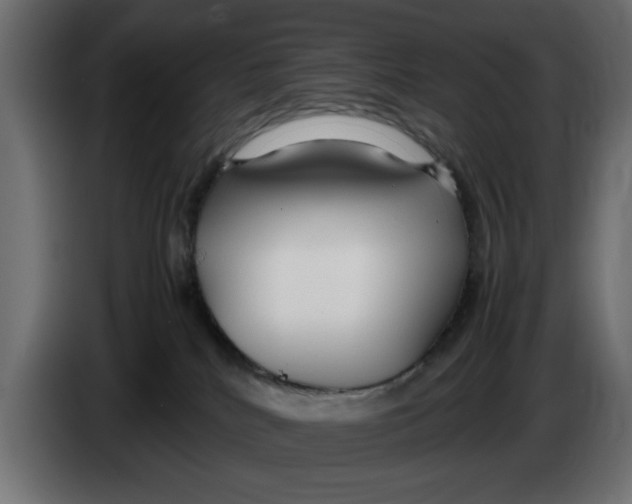 X0000083600040200703021925