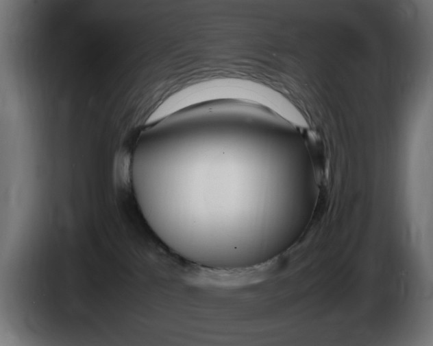 X0000083600041200703021925