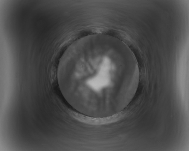 X0000083600043200703021925