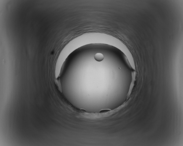 X0000083600045200703021925