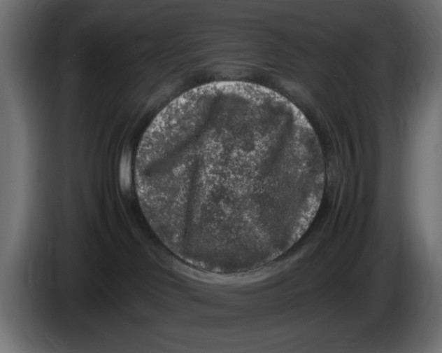 X0000083600046200703021925