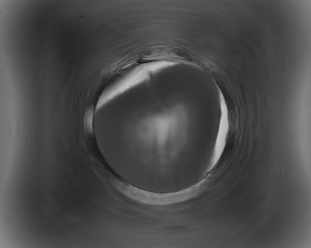 X0000083600047200703021925