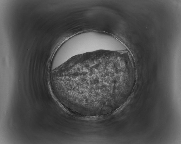 X0000083600049200703021924