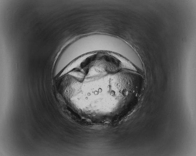 X0000083600050200703021924