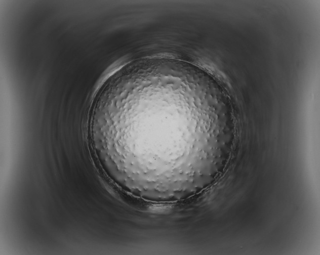 X0000083600051200703021924