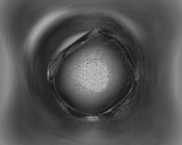 X0000083600052200703021924