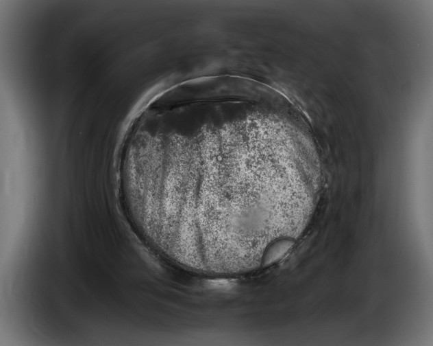 X0000083600053200703021924