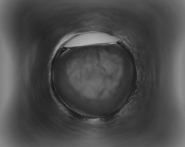 X0000083600054200703021924