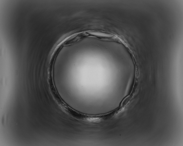 X0000083600055200703021924